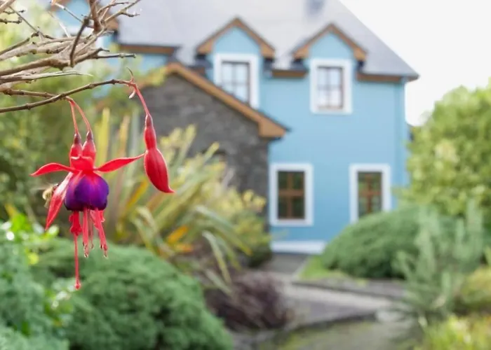 Dingle Holiday Let - New Town