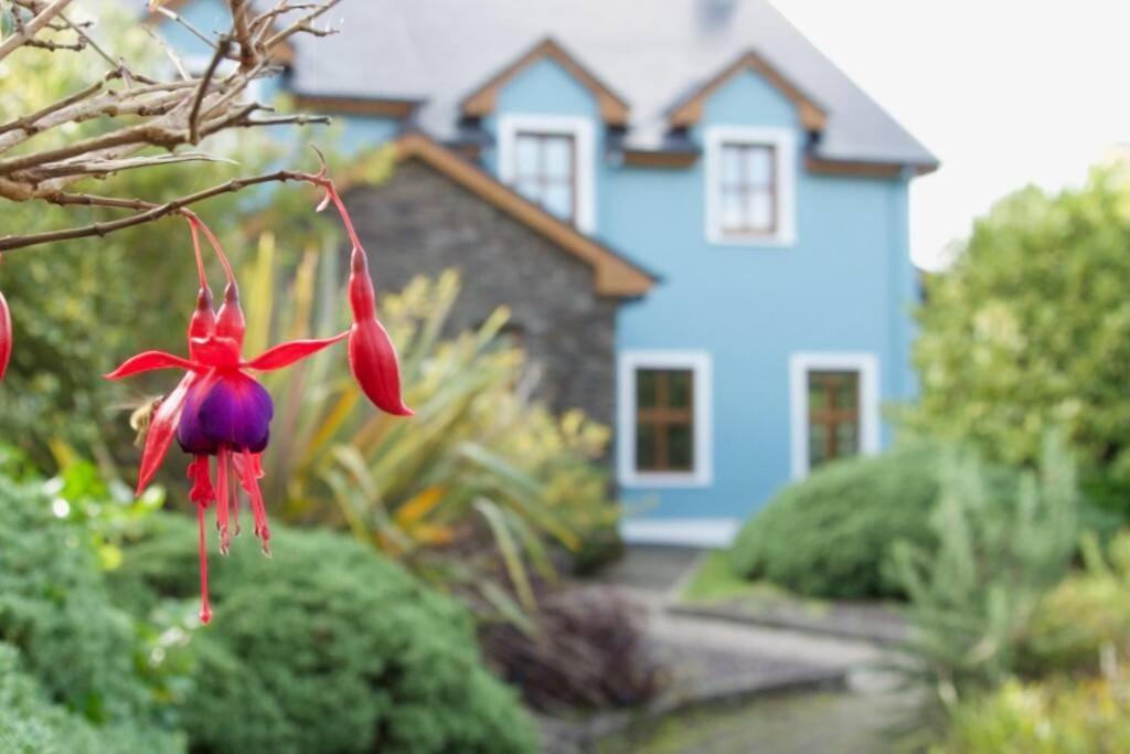 Let - New Town Holiday home